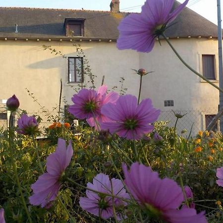 Manoir De La Guignardiere - Charme Et Douceur Chavagne Eksteriør bilde